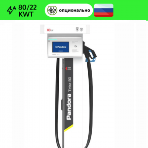 Pandora Tetra 80/22 ARCTIC (разъемы CCS2 Combo2 + GB/T или CCS2 Combo2 + CHAdeMO) + АС (переменный ток)-розетка разъем Type2 22кВт